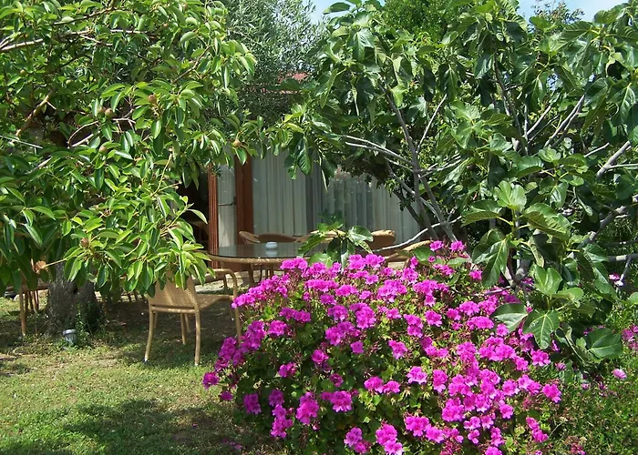 Hotel Club Ragno D'oro